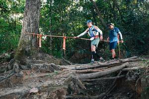 BIB: 
                            <button type="button" onclick="openModal(27307960)" class="btn btn-primary btn-sm float-right btn-popup" data-toggle="modal" data-target=".modal-high-quality">
                        <i class="fas fa-shopping-cart"></i> Add to Cart
                    </button>
                                            <button type="button" onclick="isThisMe(27307960, true)" class="btn btn-success btn-sm float-right btn-popup btn-isme hidden" data-toggle="tooltip" data-placement="bottom" title="นี่คือรูปของคุณใช่ไหม คลิกที่นี่เพื่อเอาเข้าอัลบั้ม">
                        <i class="fas fa-plus"></i> Add to album
                    </button>
                    <button type="button" onclick="isThisMe(27307960, false)" class="btn btn-warning btn-sm float-right btn-popup btn-isnotme hidden">
                        <i class="fas fa-ban"></i> Remove from album
                    </button>